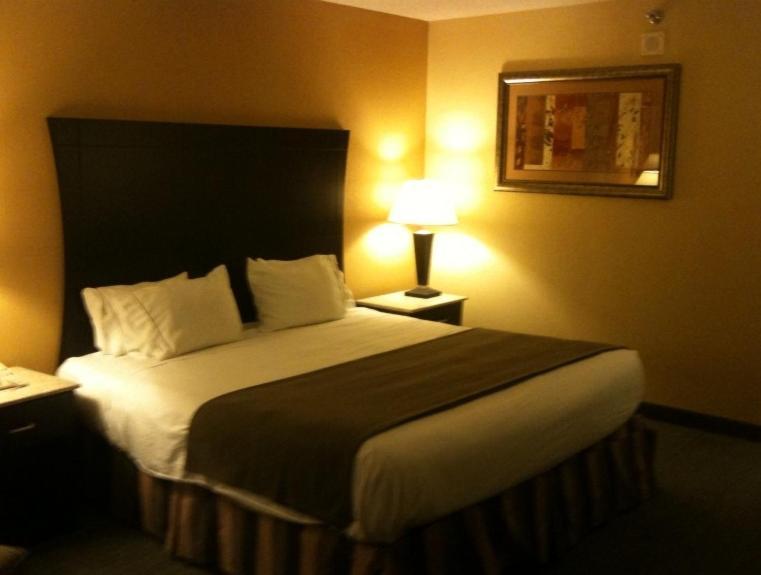 Hotel Indigo - Mayo Clinic Area 3*